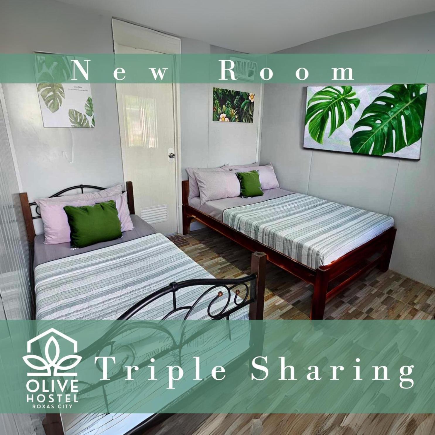 Olive Hostel רוקסס סיטי מראה חיצוני תמונה